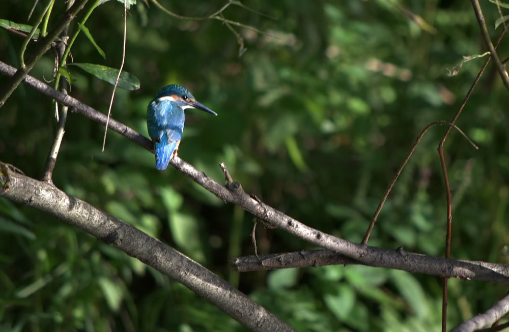 Photograph by Наталья Сорокина