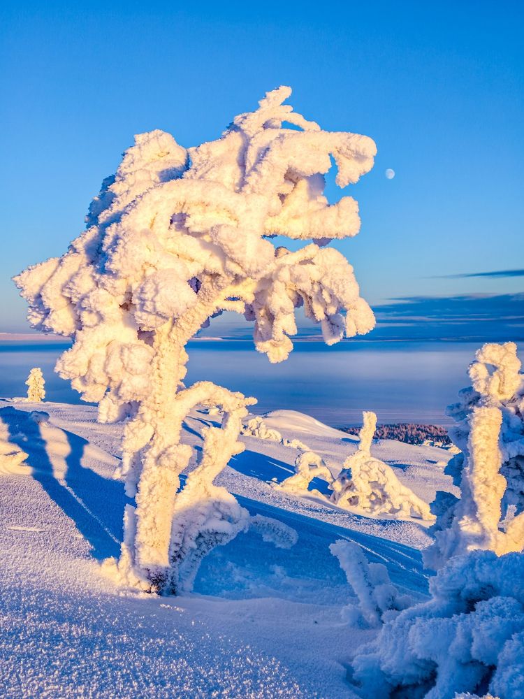 Photograph by Валерий Иванов