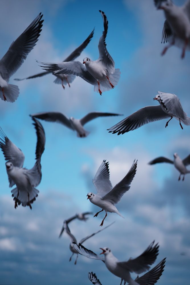 Photograph by Наталья Эндерс