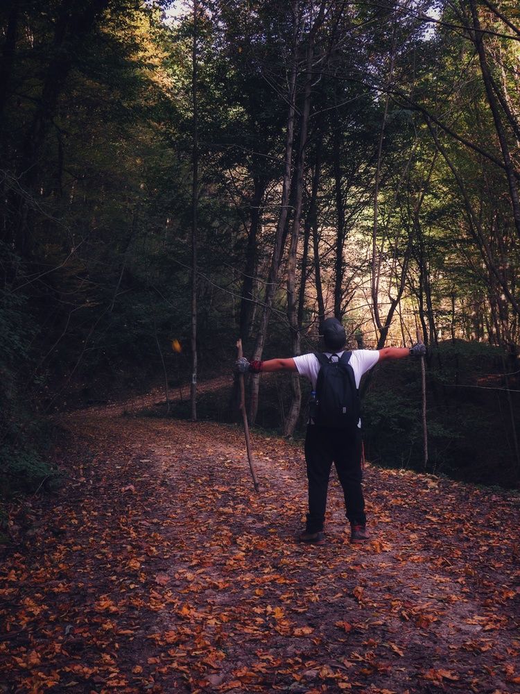 Фотография автора Mahdi Mohammadi