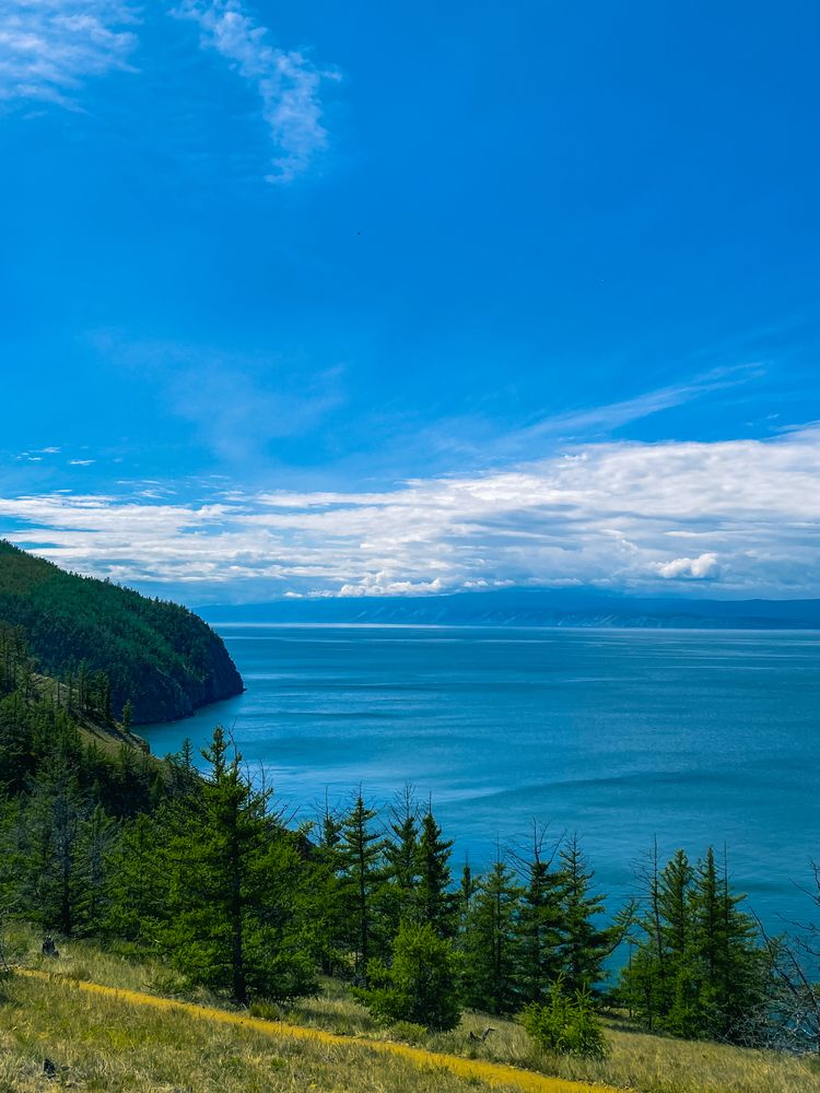 Фотография автора Дарья Андреева