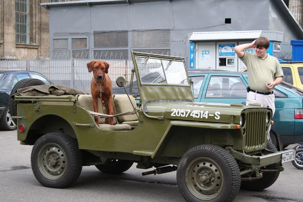 Photograph by Станислав Староверов