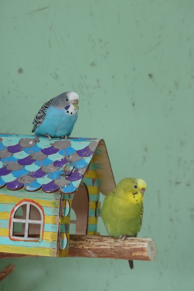 Фотография автора Алексейчик Дмитрий