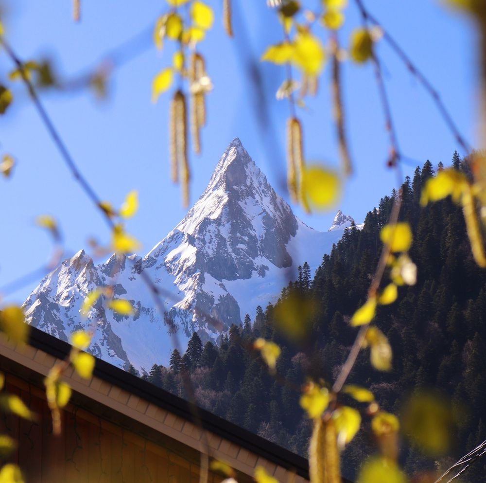 Фотография автора Алексейчик Дмитрий