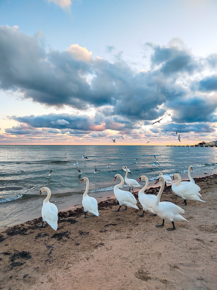 Фотография автора Наталья Королева
