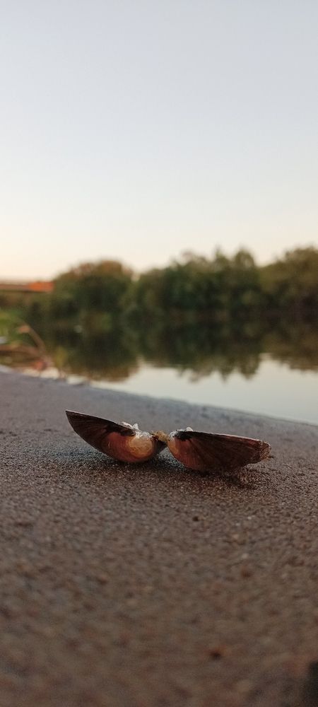 Photograph by Неля Кочурова