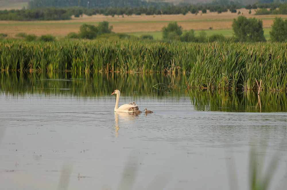 Фотография автора Дмитрий Герасимов