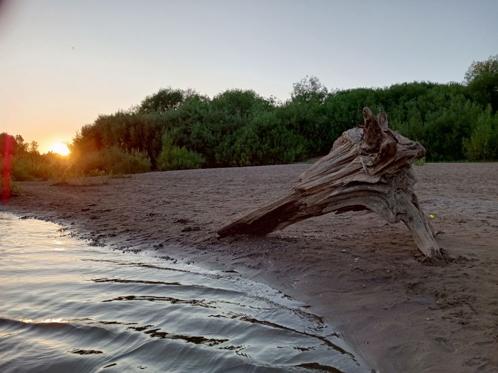 Photograph by Неля Кочурова
