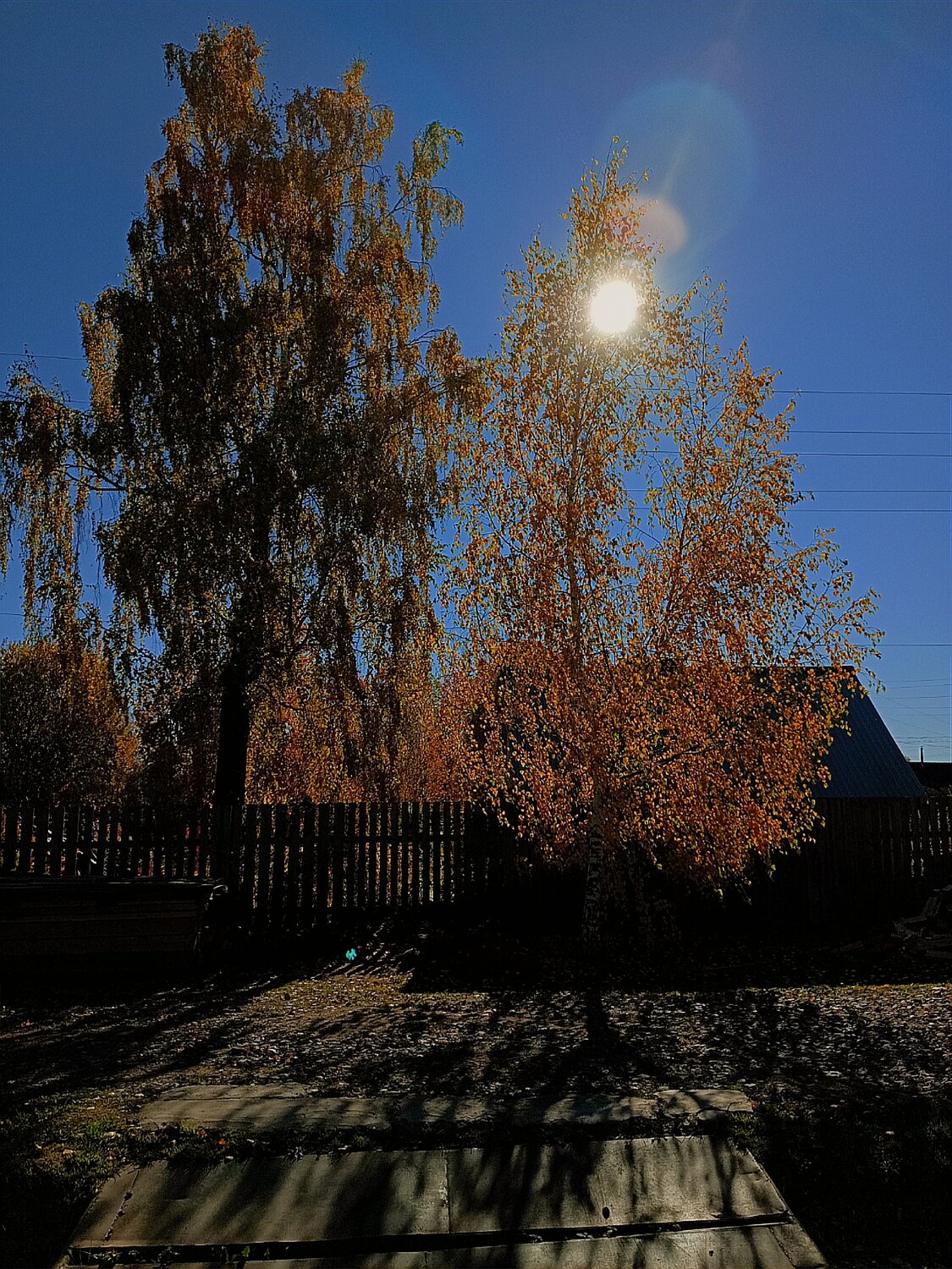 Photo #13174677