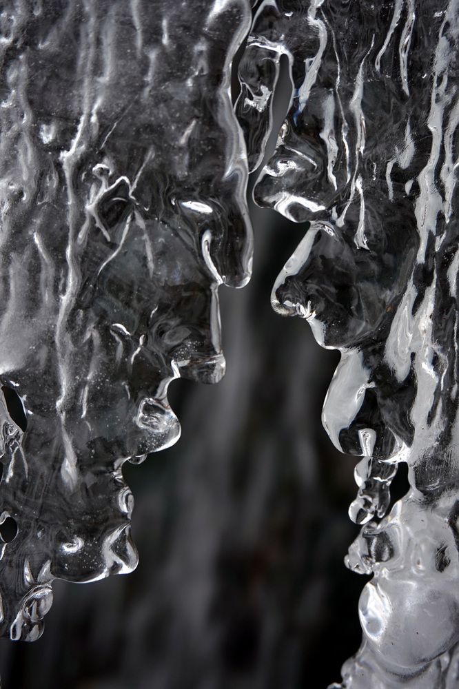 Photograph by Лена Максимкина