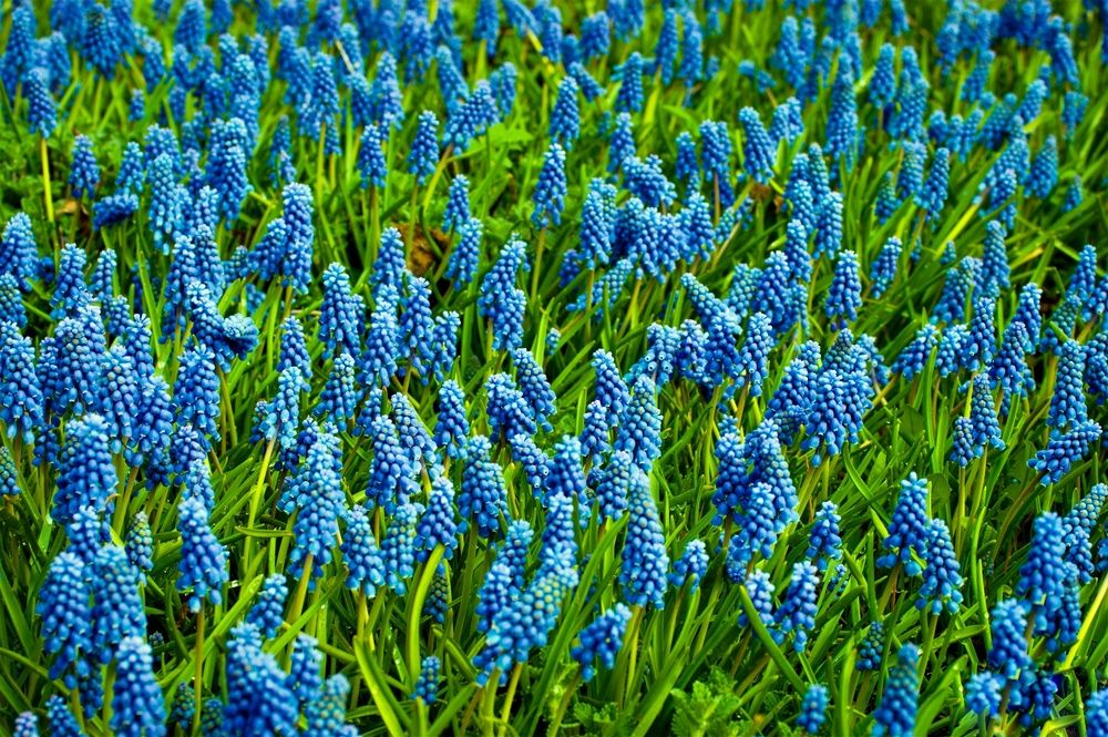 Photograph by Marina Mossiy