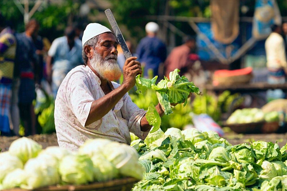 A Dhaka Vegetable Vendor