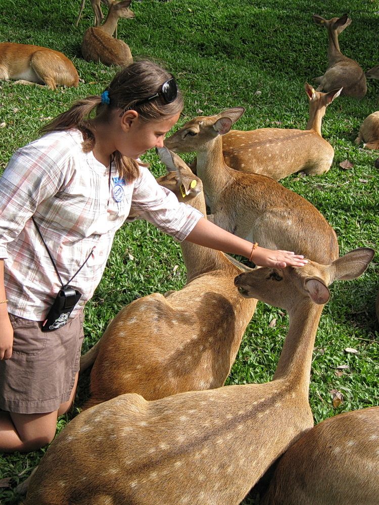 Photograph by Юрий Еремин