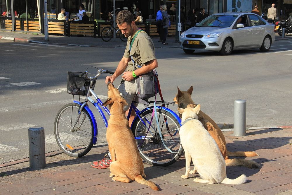 Photograph by Юрий Еремин