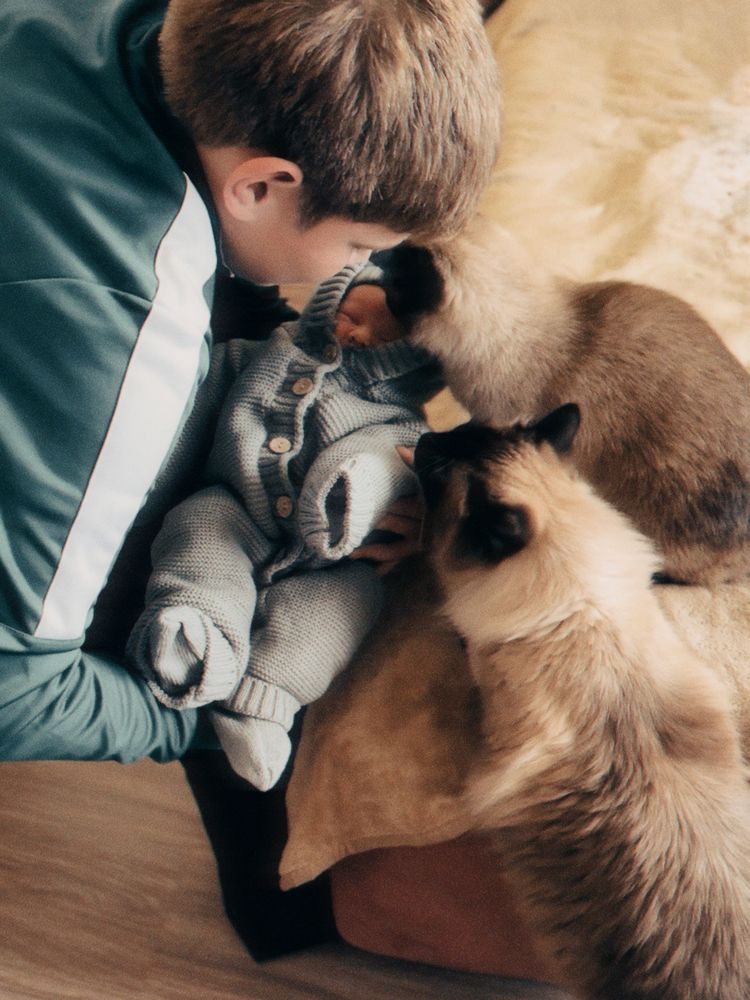 Фотография автора Дарья Викторова