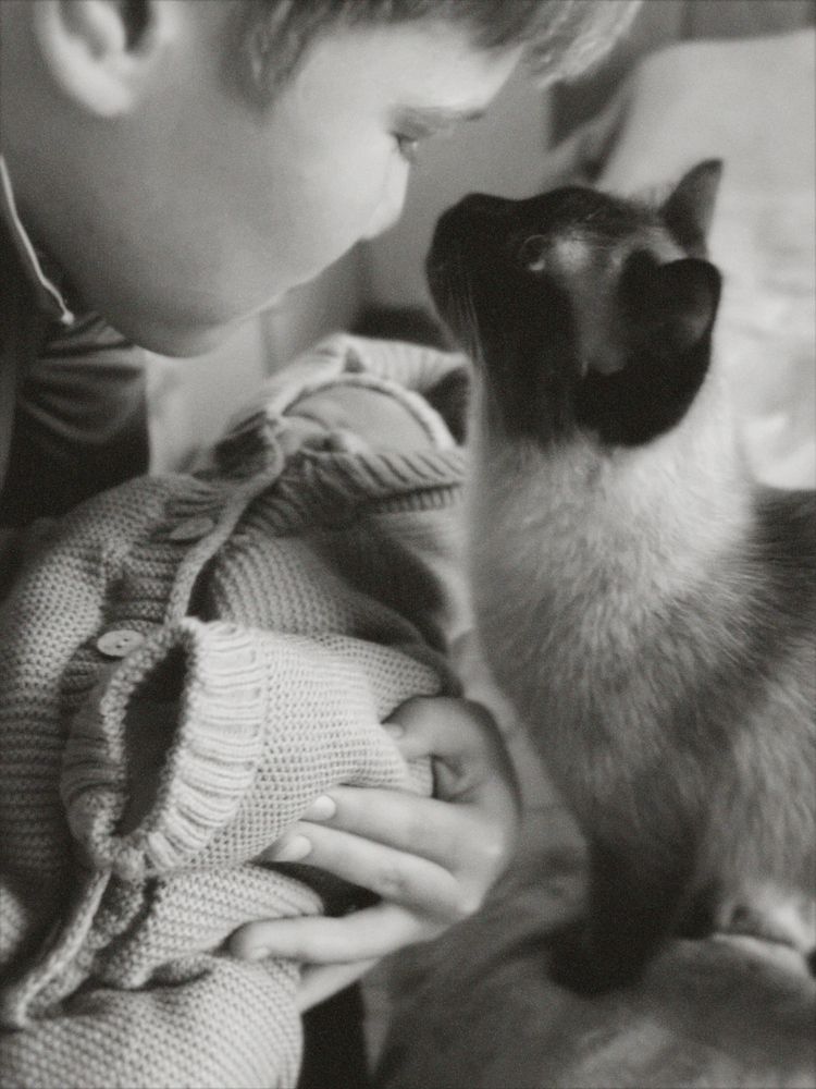 Фотография автора Дарья Викторова