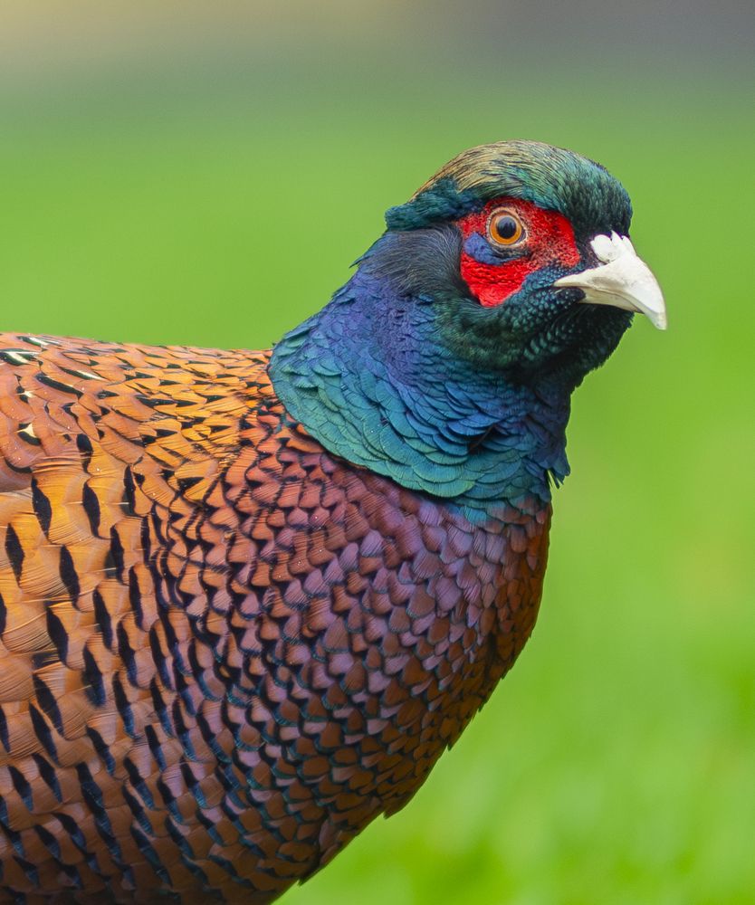 Photograph by Дмитрий Кетов