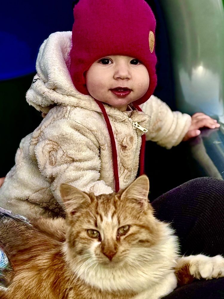 Photograph by Алла Киселева