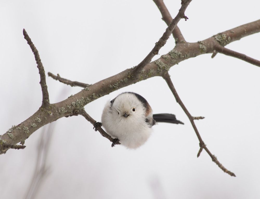 Photograph by Янина Черпухина-Андреева