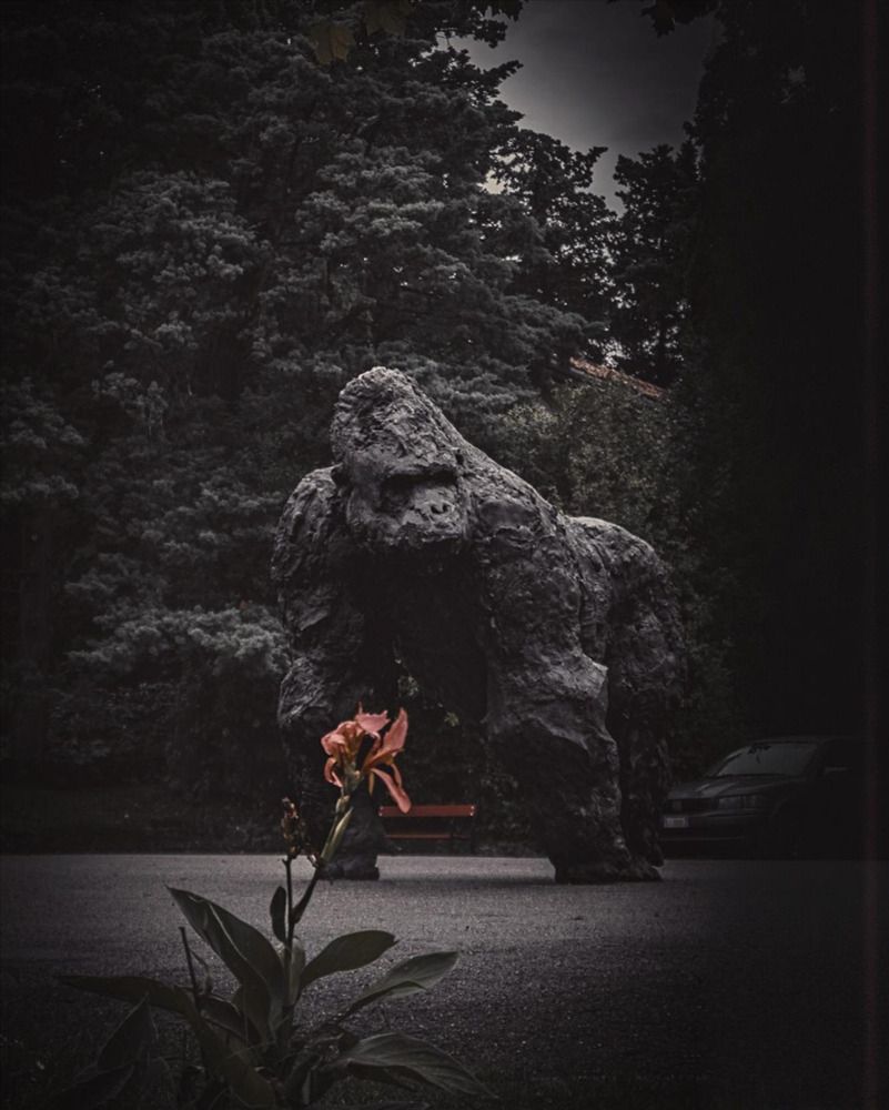 Photograph by Szilvia Farkas