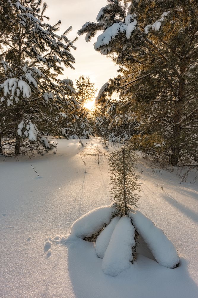 Фотография автора Руслан Нигматуллин