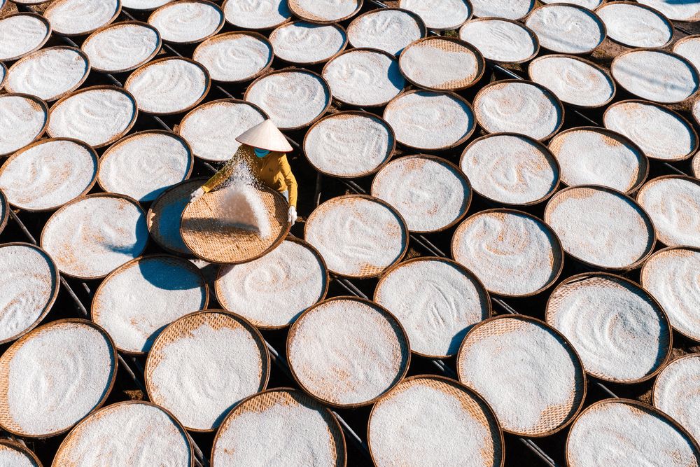 Photograph by Bao Nguyen