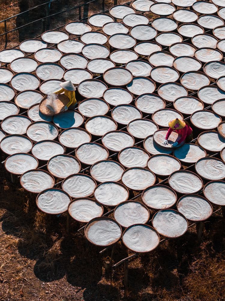 Photograph by Bao Nguyen