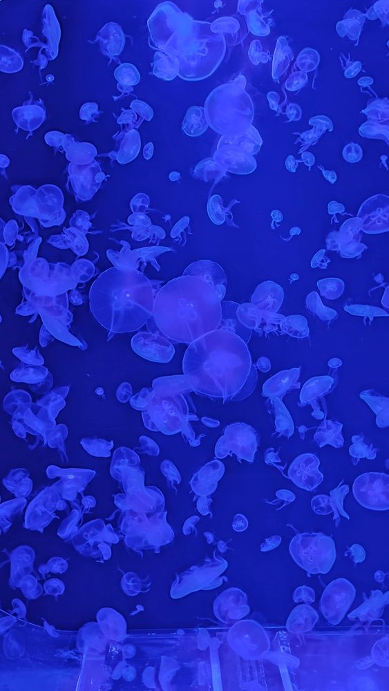 Photograph by Нина Кольман