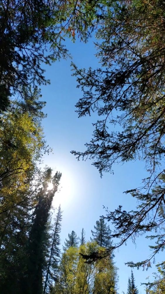 Photograph by Наталья Филянина