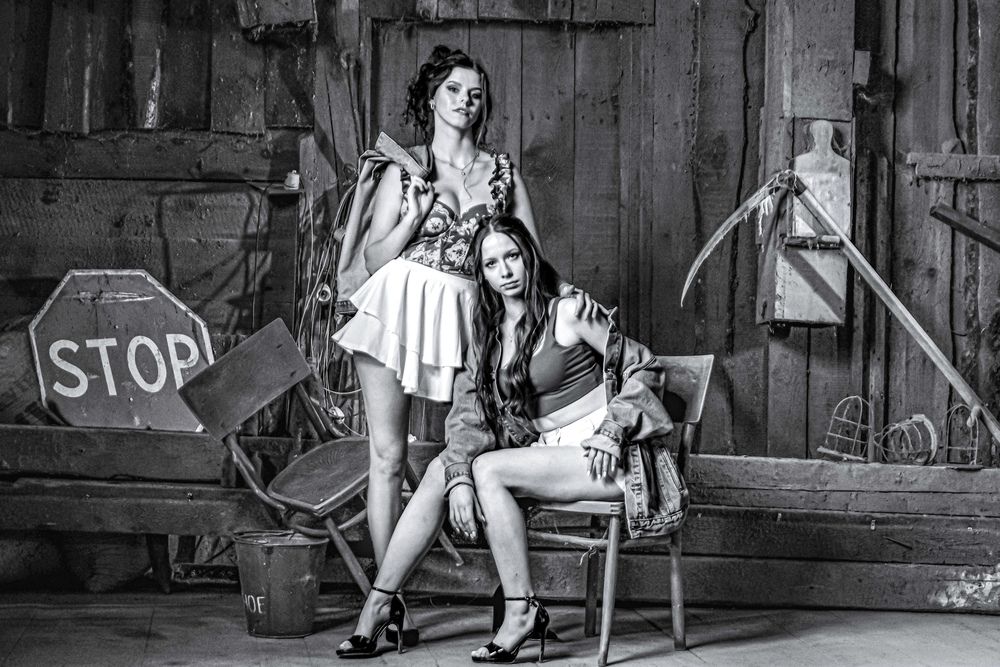The Barn Chronicles