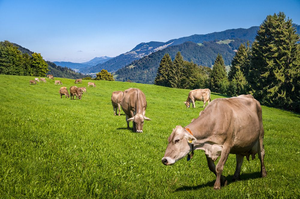 Photograph by Алексей Козлов