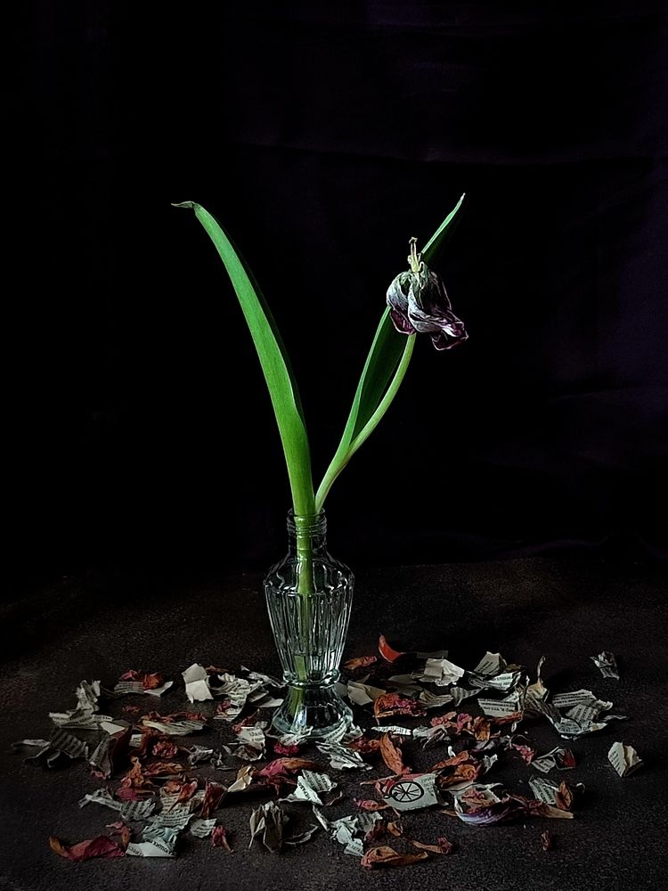 Photograph by Galina Novichkova