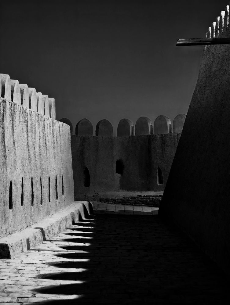 Photograph by robot