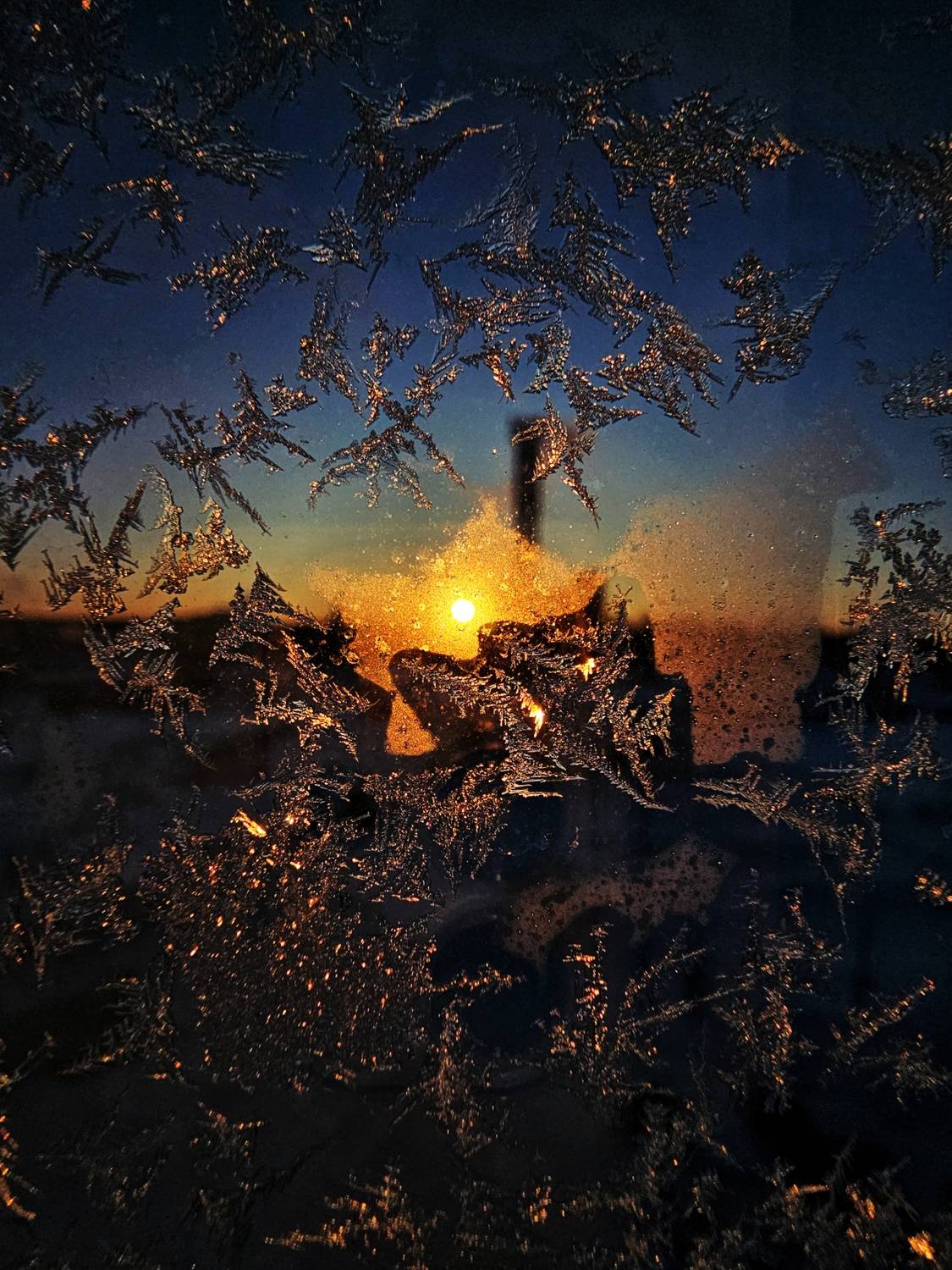 Фотография #13175205