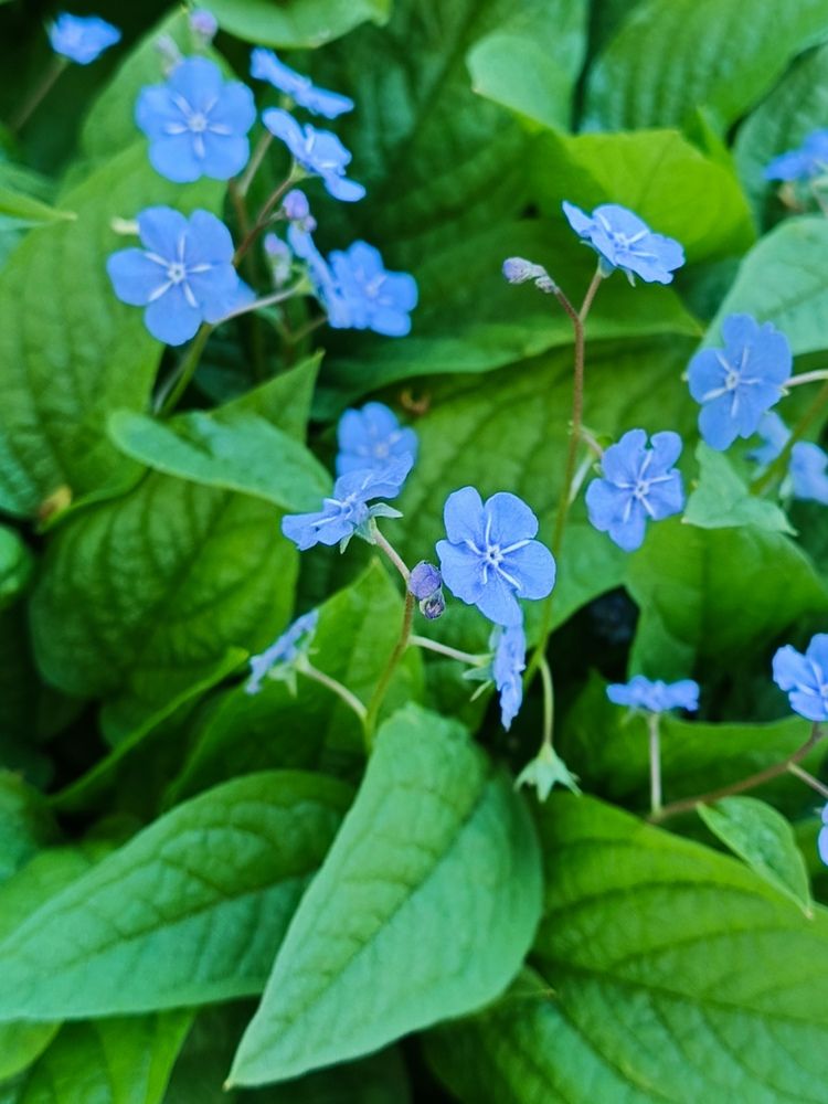 Photograph by Наталья Покрепина