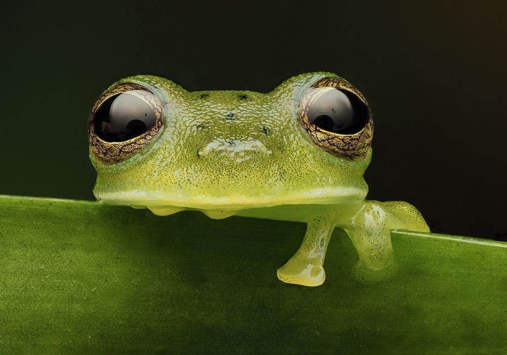 Photograph by Andrea Grammatico