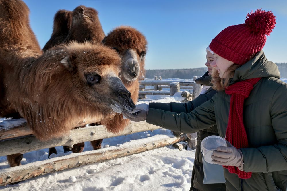 Photograph by Наталия Моргунова