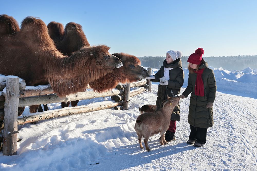 Photograph by Наталия Моргунова