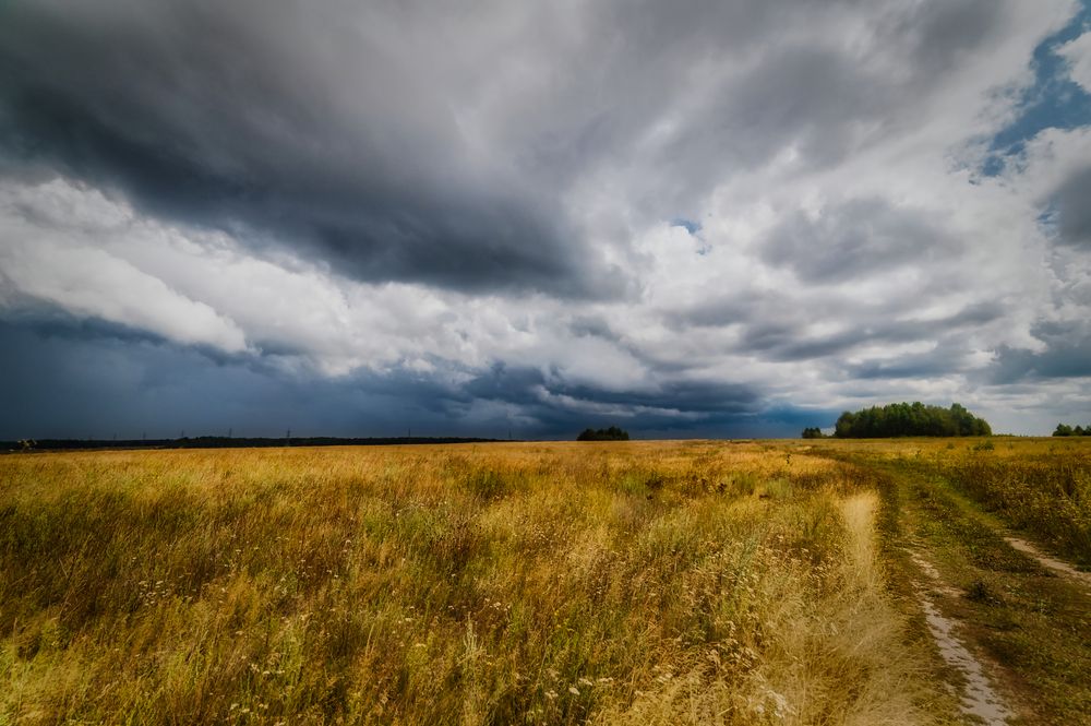 Photograph by Алексей