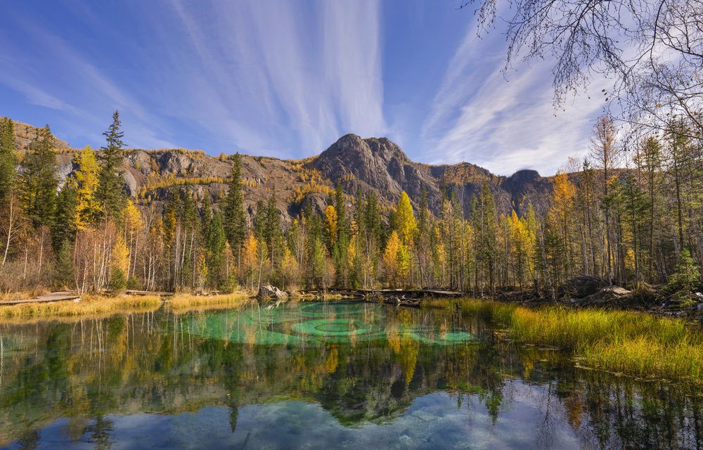 Фотография автора Дейнекина Галина