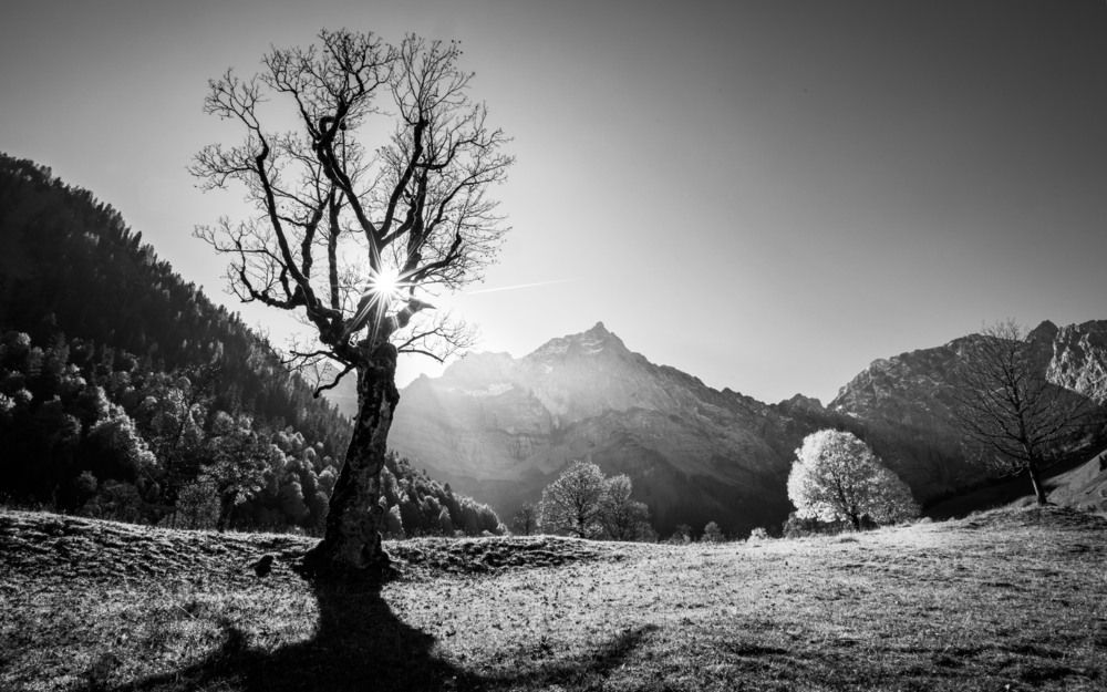 Фотография автора Sudheer Nunna