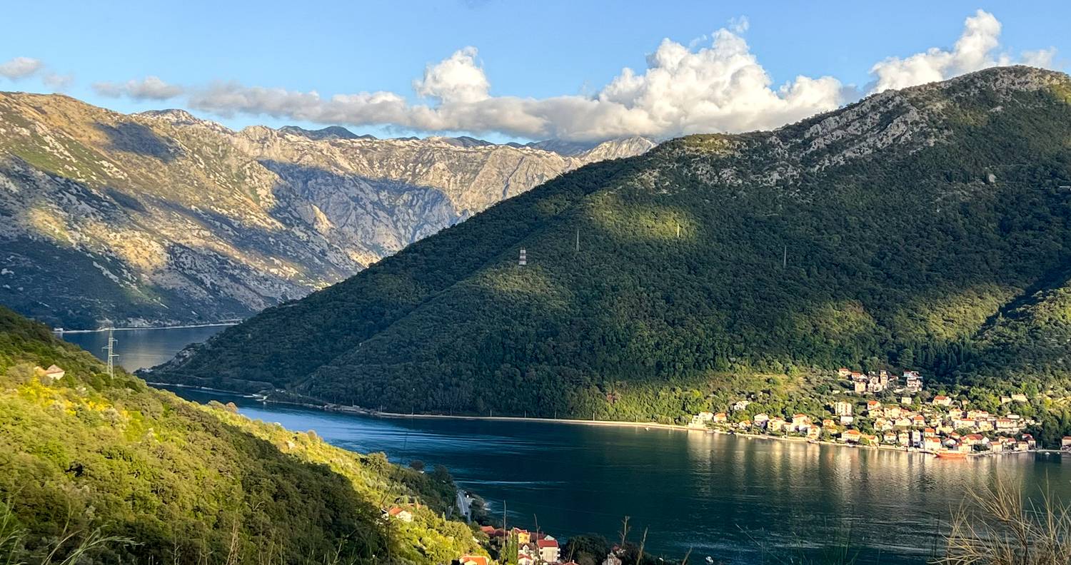 Фотография #13175331