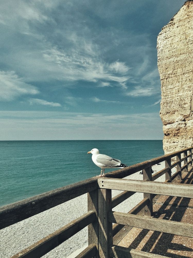 Photograph by Ekaterina Biserova