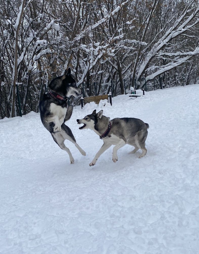 Photograph by Елена Одынец