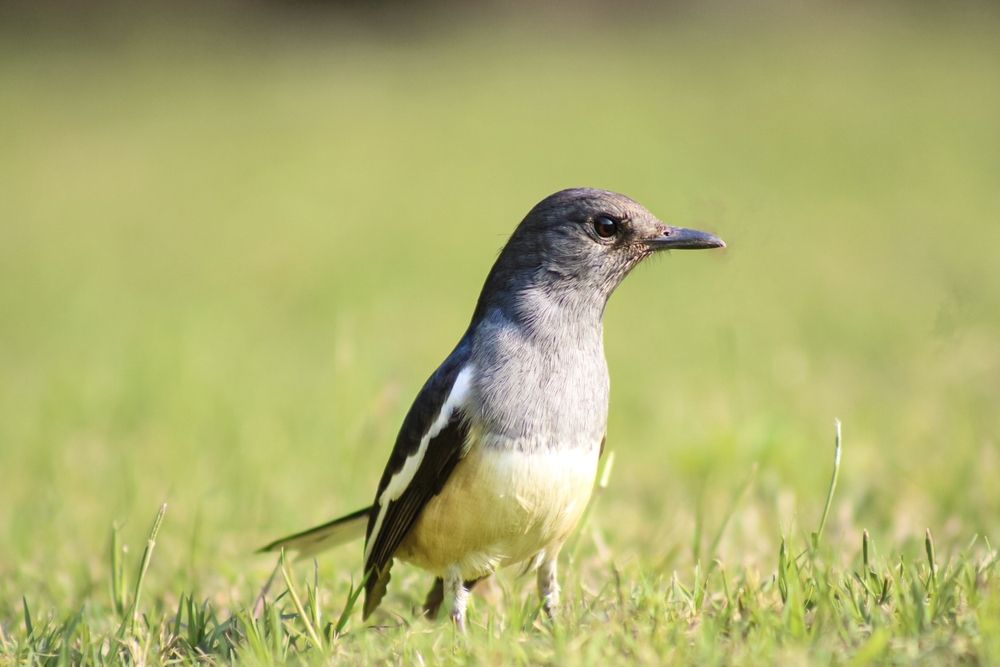 Photograph by Kishan Upadhyay