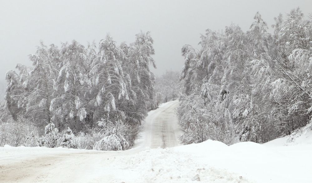 Photo #13175477