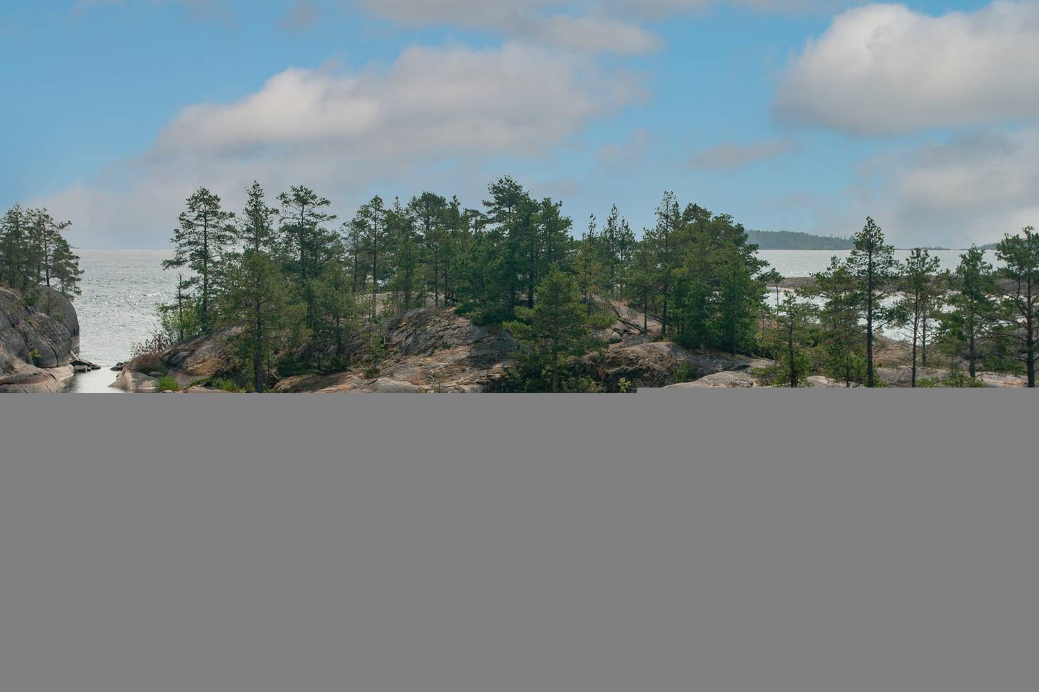 Photo #13175478
