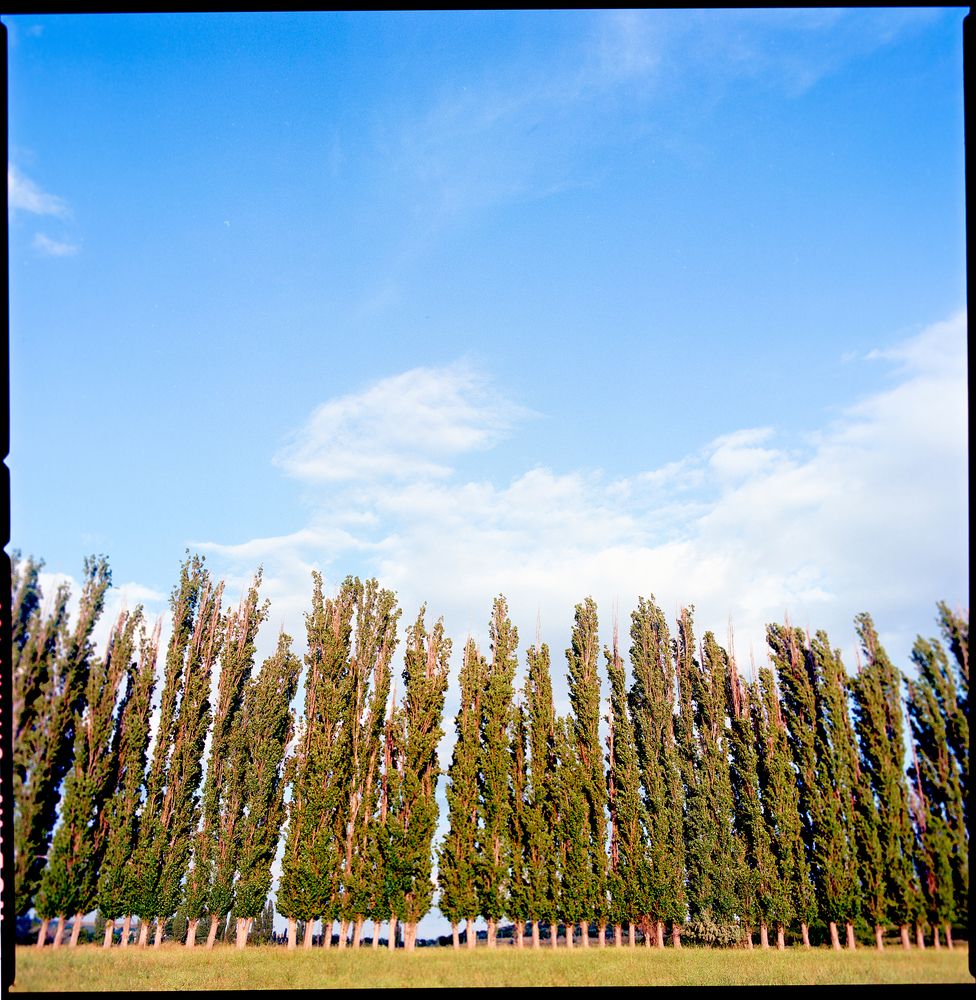 Фотография автора Франгони Владимир