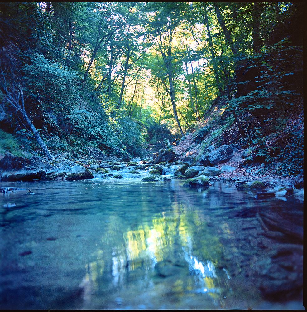 Фотография автора Франгони Владимир