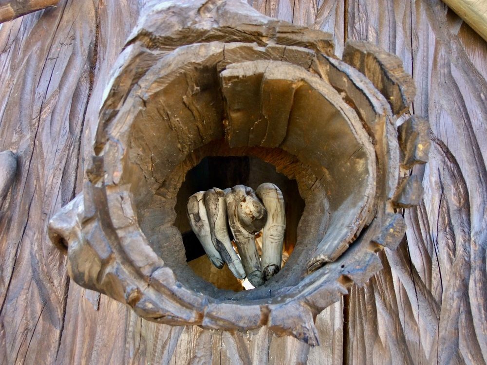 Фотография автора Татьяна Шитлина